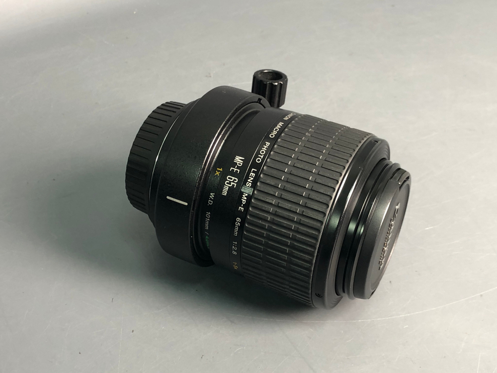 Canon MP-E 65mm 2.8 1-5x Macro Photo