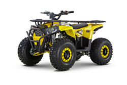 Квадроцикл WELS Trail 125