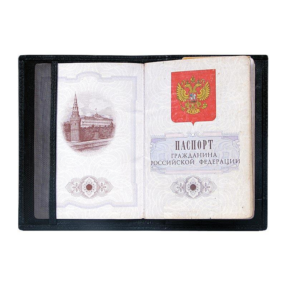 Обложка для паспорта из кожи питона AP-035
