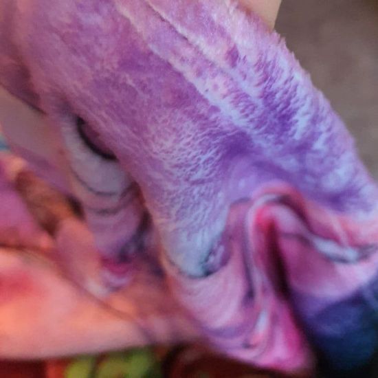 Плед Пони арт. 119 (велсофт), 150х130 и 200х140 см