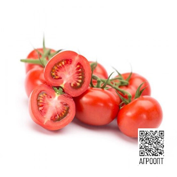 Сенсерно F1 семена томата (Rijk Zwaan / Райк Цваан) продукт – фото 1