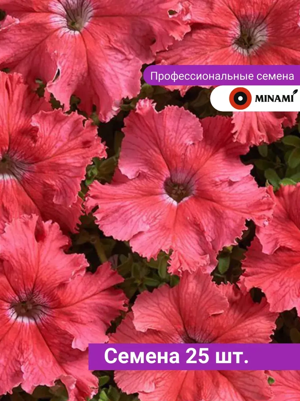 Петуния Афродита F1 лососевая