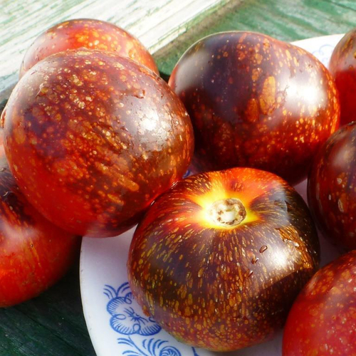 Помидоры - Dark Galaxy - Тёмная Галактика