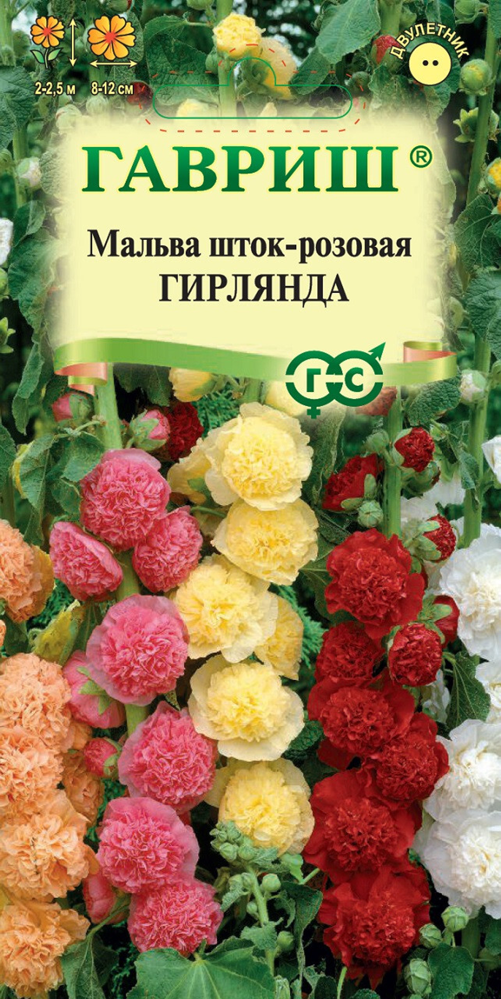 Мальва Гирлянда смесь