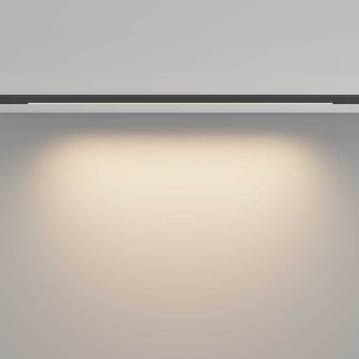 Трековый светильник Maytoni Technical Basis TR190-1-10W3K-B