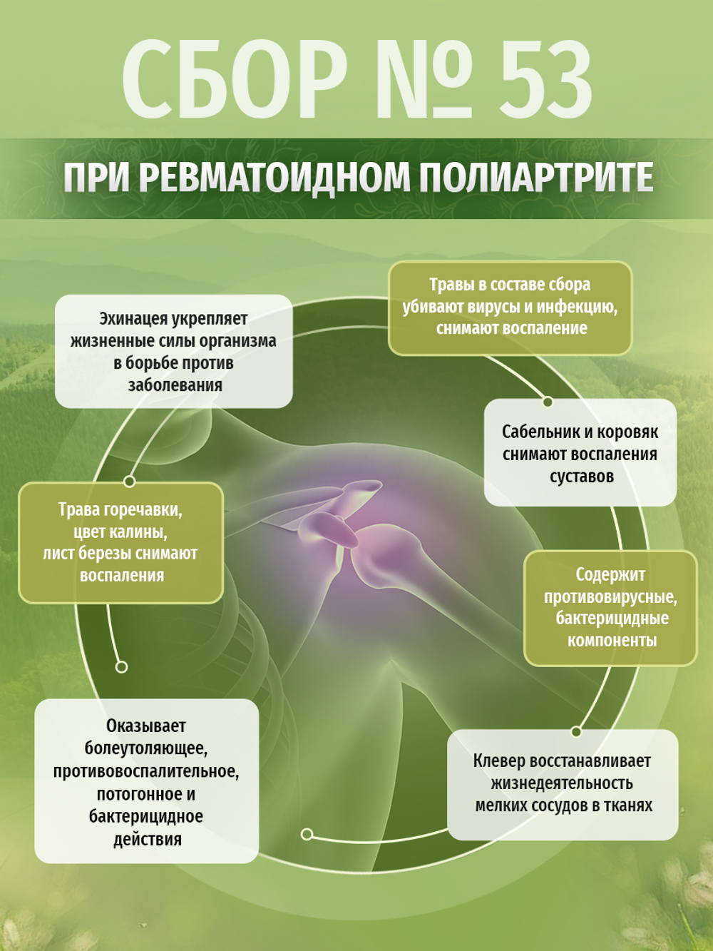 Сбор № 53 При ревматоидном полиартрите