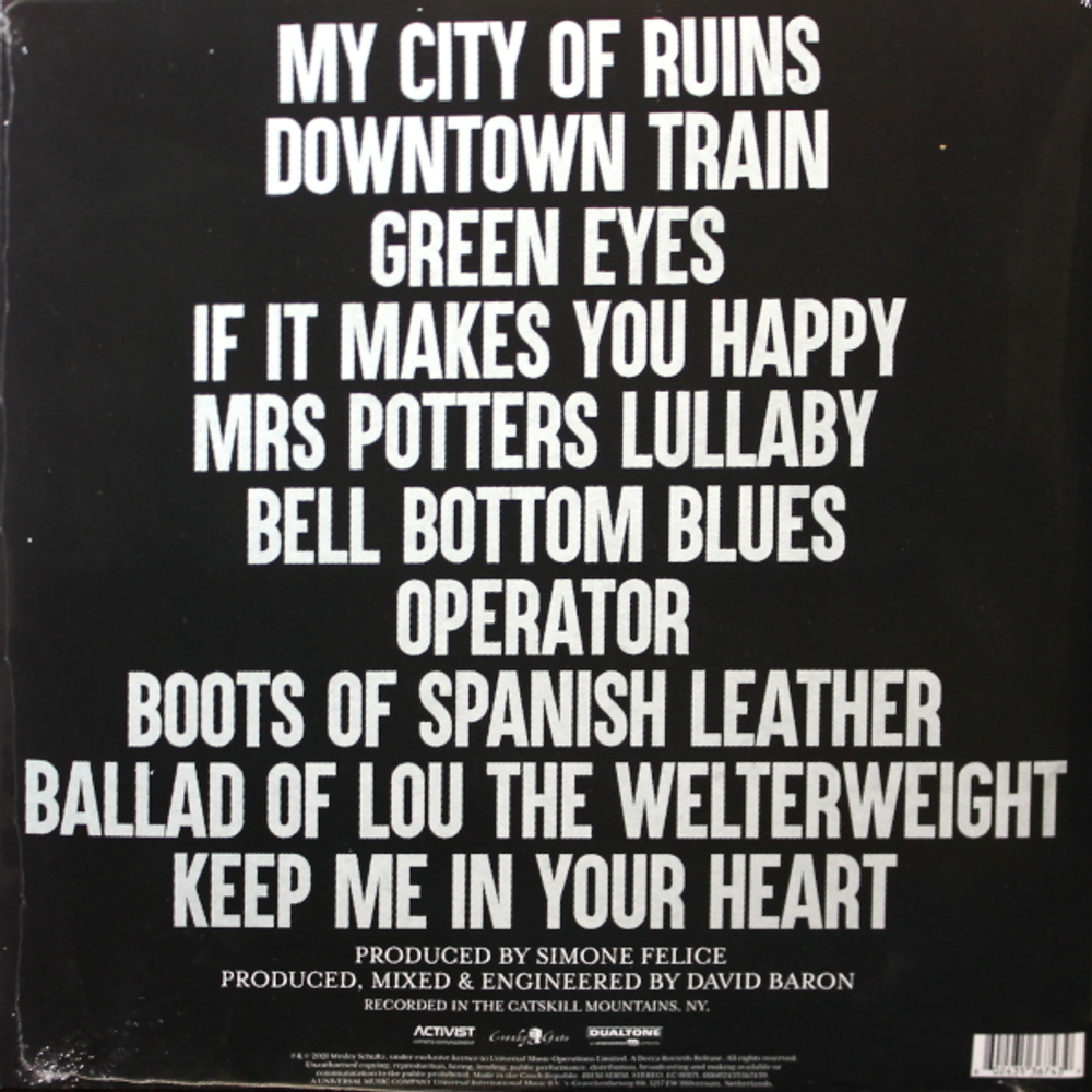 Wesley Schultz / Vignettes (LP)