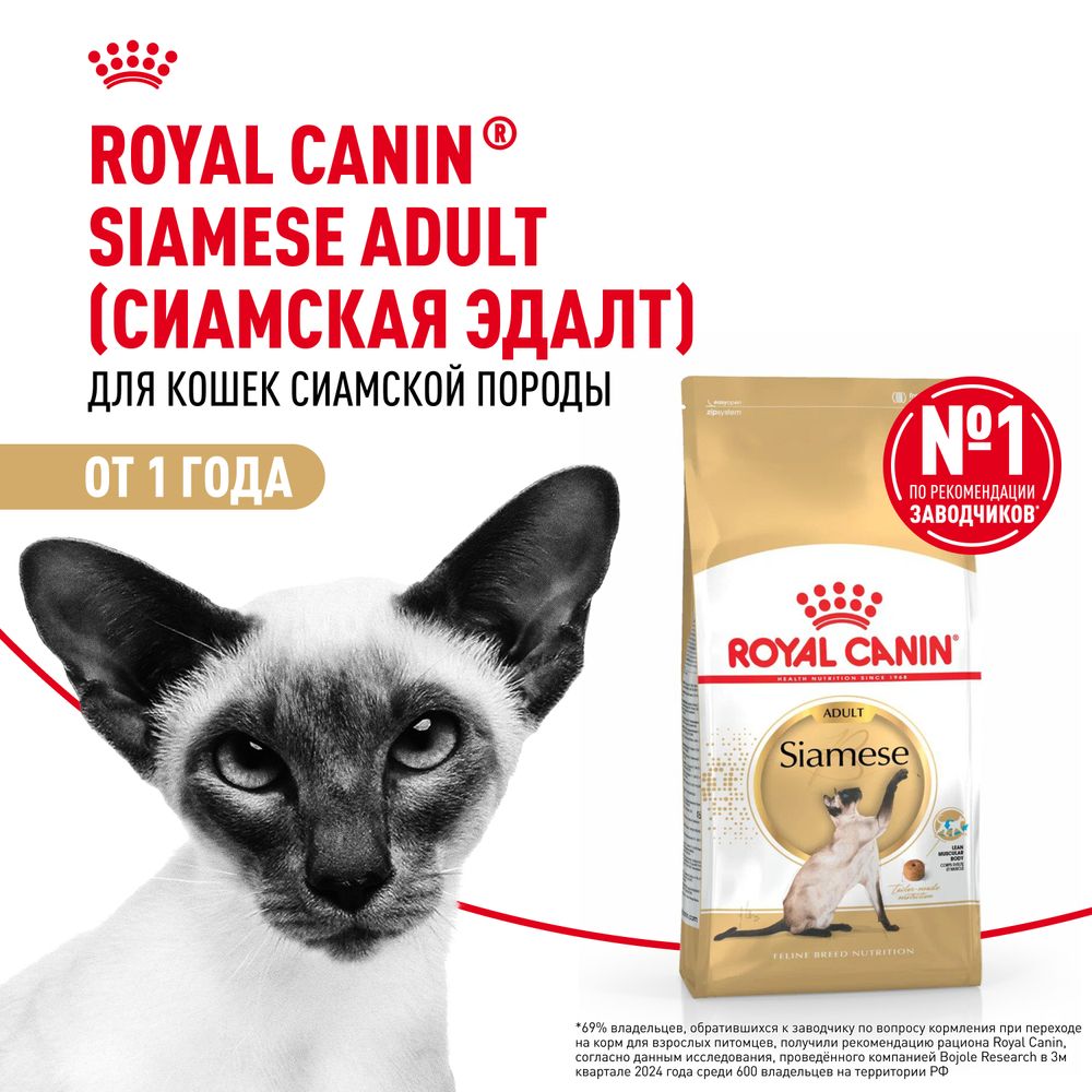 Сухой корм Royal Canin Siamese Adult для взрослых сиамских кошек от 12 месяцев Сухой корм Royal Canin Siamese Adult для взрослых сиамских кошек от 12 месяцев