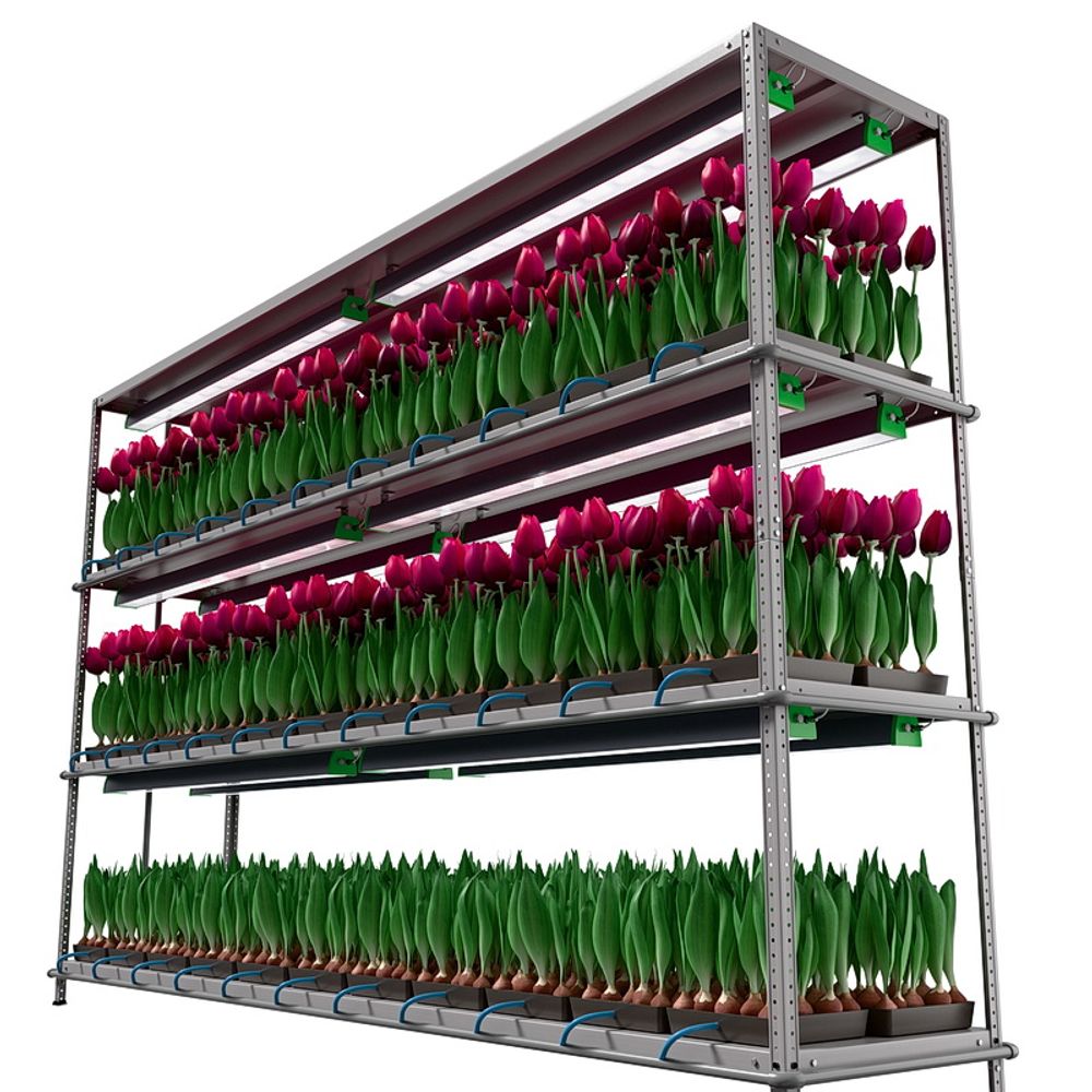 Светильник АгроСвет Сonstant 200вт 443мкмоль (полный спектр) FS-V-AGRO-200-65-XY-304-ZZZ