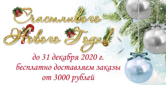 Бесплатная доставка до 31 декабря