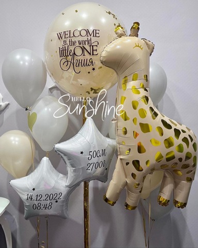 Набор шаров на выписку №28