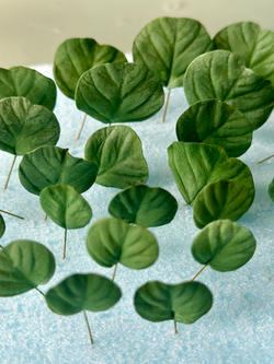 Набор вайнеров для лепки листьев эвкалипта Coprussia