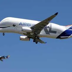 47cm A330-743L Beluga