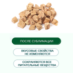 Wanpy Dog Сублимированное лакомство для собак "Куриная печень" 40 г