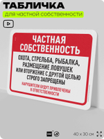 Табличка для частной территории "Частная собственность", на дом, для участка, организаций, предупреждающая, 40х30 см, Silver Plane x Айдентика Технолоджи
