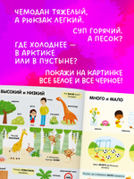 Найди и покажи. Большая книга. Логика