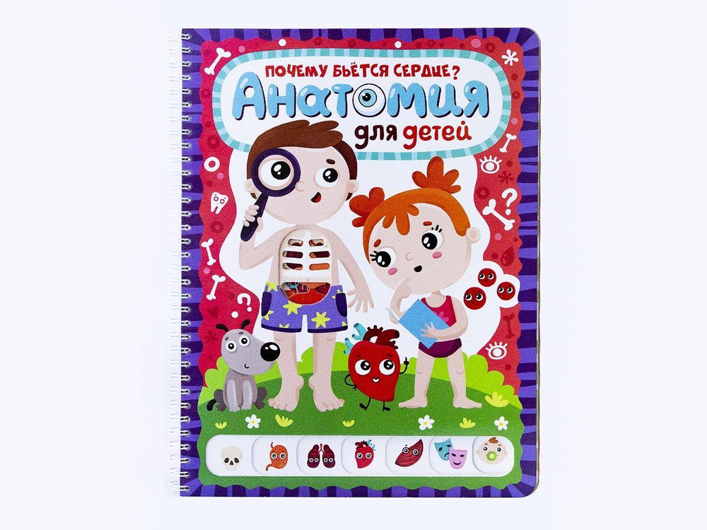 Слимэнцклопедия. Анатомия для детей. Почему бьётся сердце? (Malamalama)
