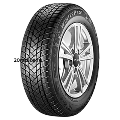 205/55R17 95H XL WinterPro 2 TL