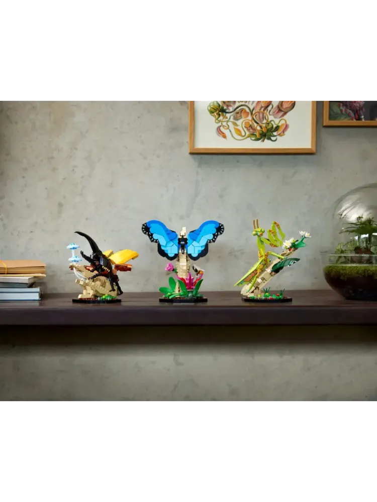 Конструктор Ideas 21342 Коллекция насекомых