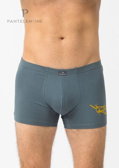Трусы мужские боксеры Pantelemone PMH-1351, серо-зеленый