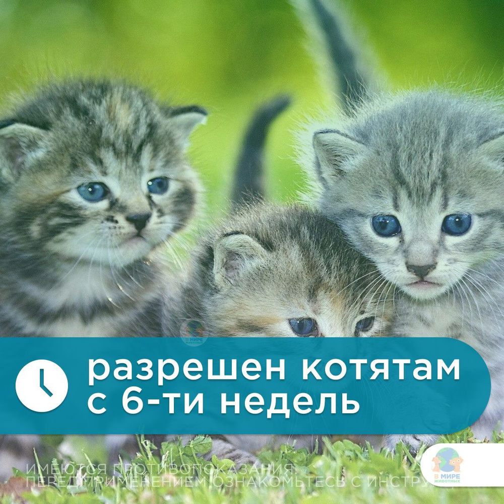 Таблетки от гельминтов, профилактика дирофиляриоза для кошек менее 4кг Гельминтал (Neoterica), 2 таб. Моксидектин/Празиквантел