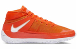 Кроссовки Nike Kd 13 Tb Promo Tpu