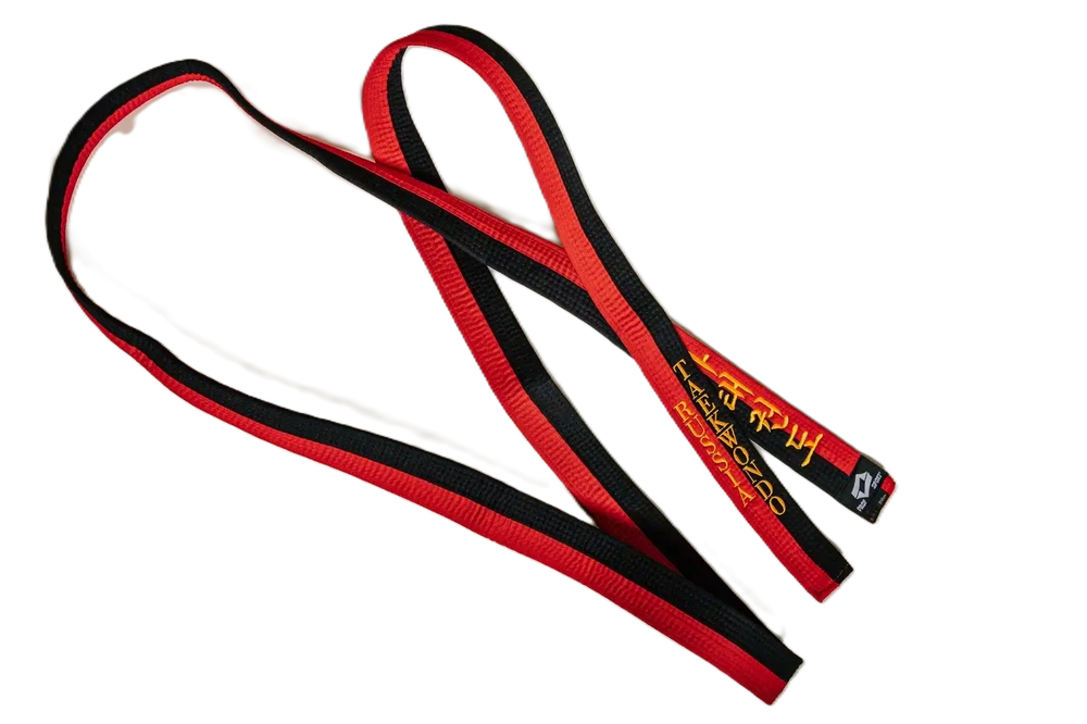 Пояс для тхэквондо ProfSport Премиум с вышивкой черно-красный