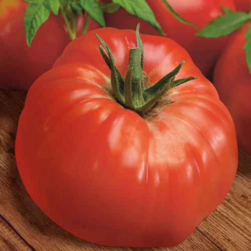 Томат Жимолостный