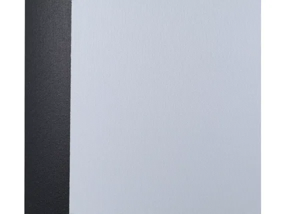 [LMV-100101] Экран на штативе Lumien Master View