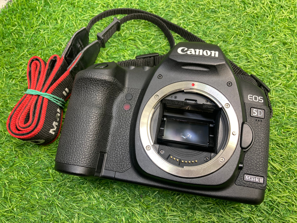 Canon EOS 5D Mark II (5.400 кадров)