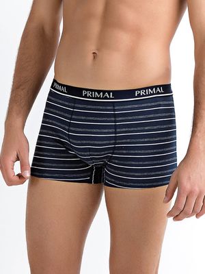 Мужские трусы B228 Boxer Primal