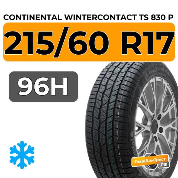 Continental WinterContact TS 830 P 215/60 R17 96H