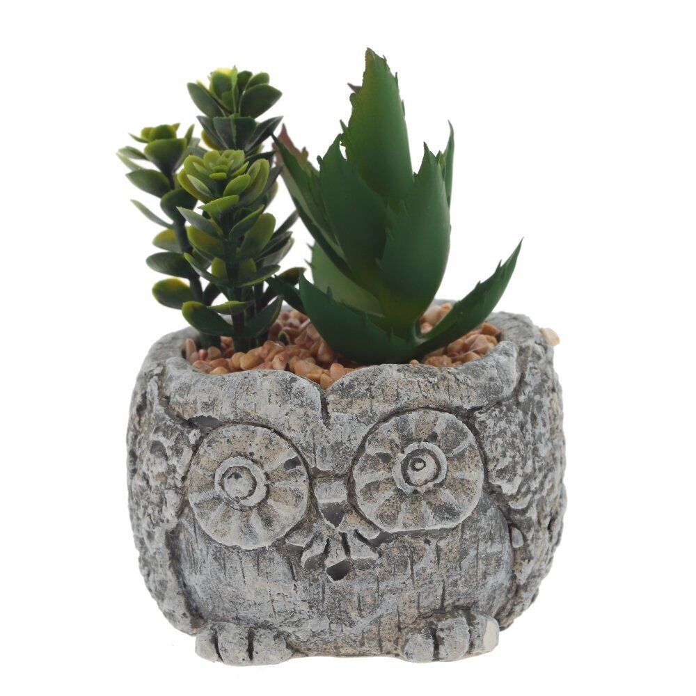 GAEM Цветочная композиция "Суккулент", L11 W11 H12 см