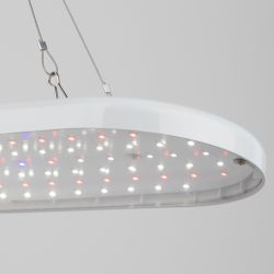 Светильник для растений ЭРА FITO-25W-QLED-FLY подвесной полного спектра 25 Вт | Интерьерные фито светильники