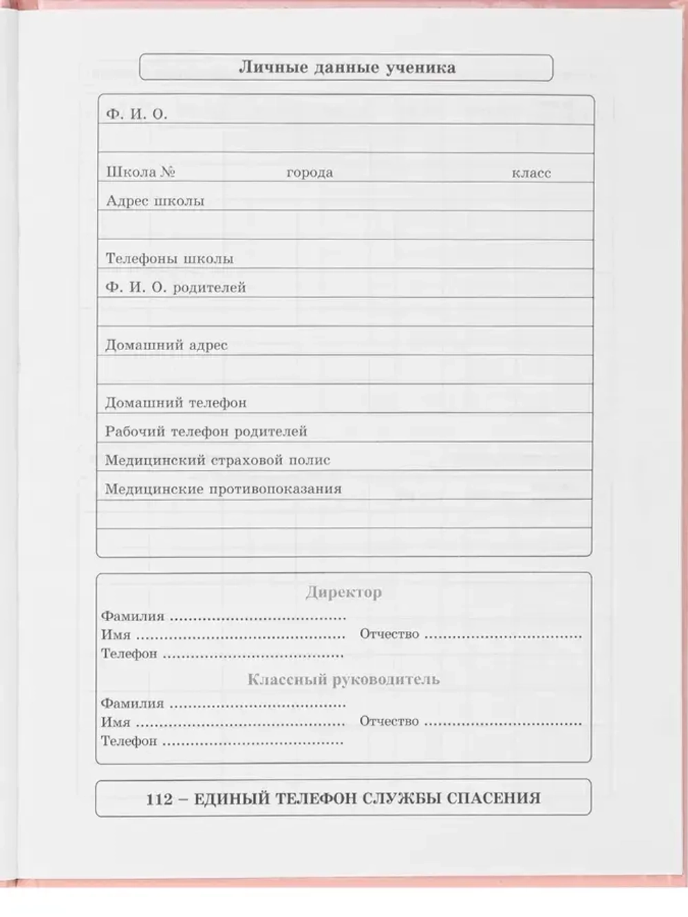 Дневник школьный 1-11 класс 40 листов в твёрдом переплёте Проф-Пресс Д40-3494