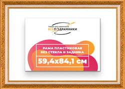 Рама 59,4x84,1 для картин и фотографий