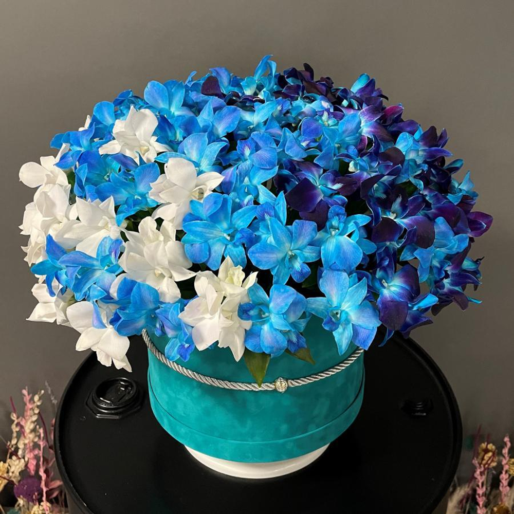 Букет из орхидей «Космос Антарктика»