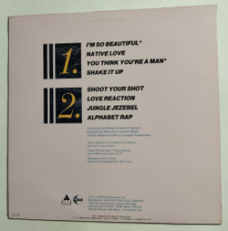 Винтажная виниловая пластинка LP Divine The Story So Far (Japan 1986) (No Obi)