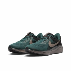 Кроссовки Nike Air Zoom Pegasus 41 'Faded Spruce' HQ6025-300
