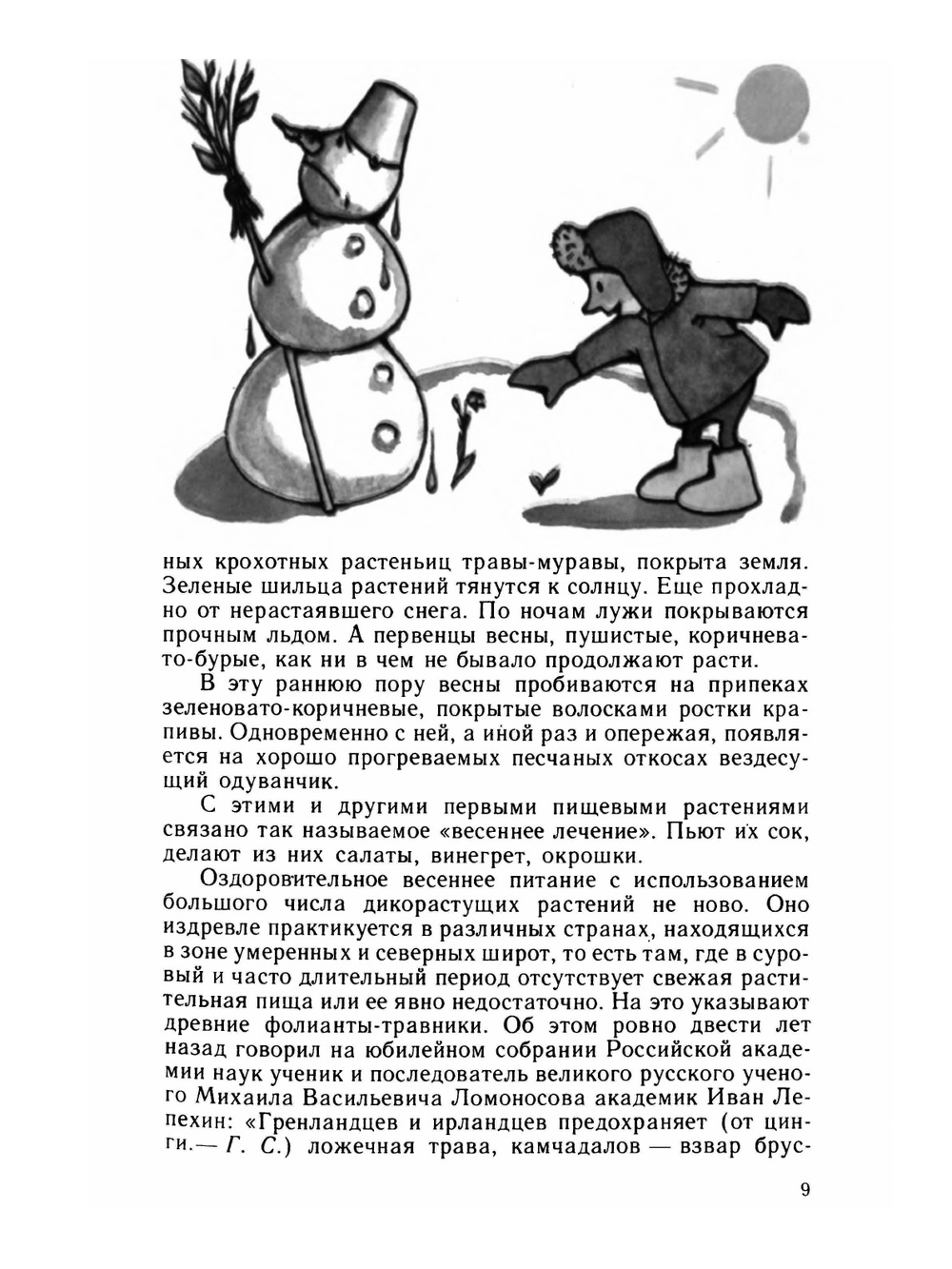 Лесной огород | Г.М. Свиридонов