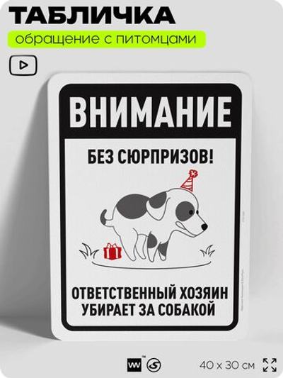 Табличка "Без сюрпризов! Ответственный хозяин убирает за собакой" на дверь и забор, для двора, дома, подъезда, 40х30 см, Silver Plane x Айдентика Технолоджи