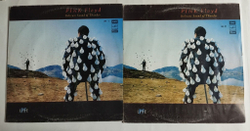 Винтажная виниловая пластинка LP Pink Floyd Delicate Sound Of Thunder (СССР 1990) Рижский Завод