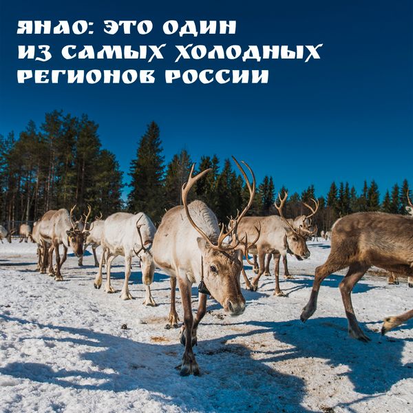 Суровые климатические условия