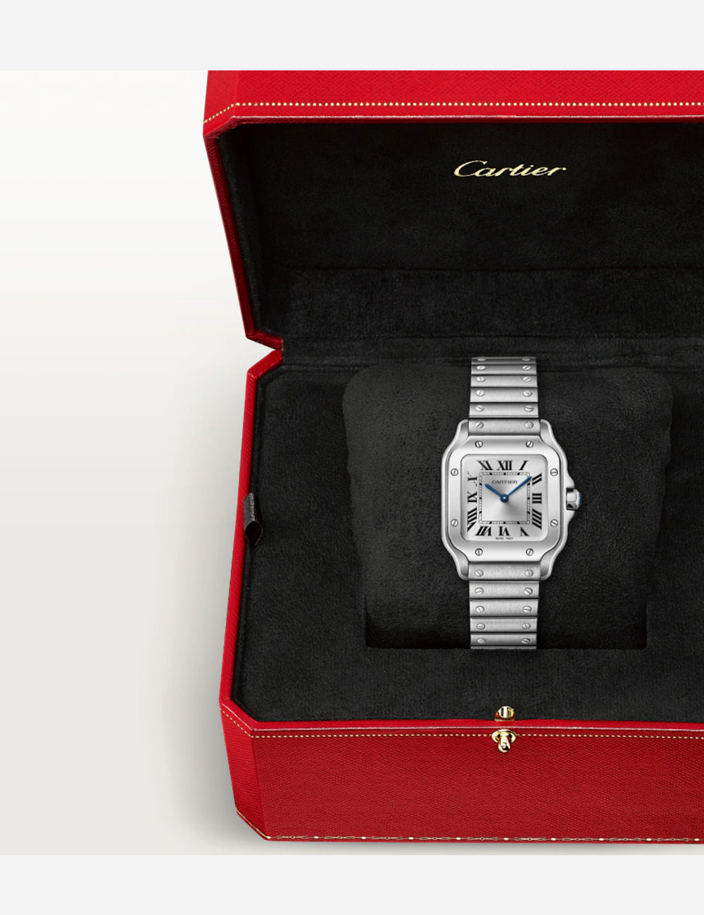 Наручные часы Cartier Santos Silver S