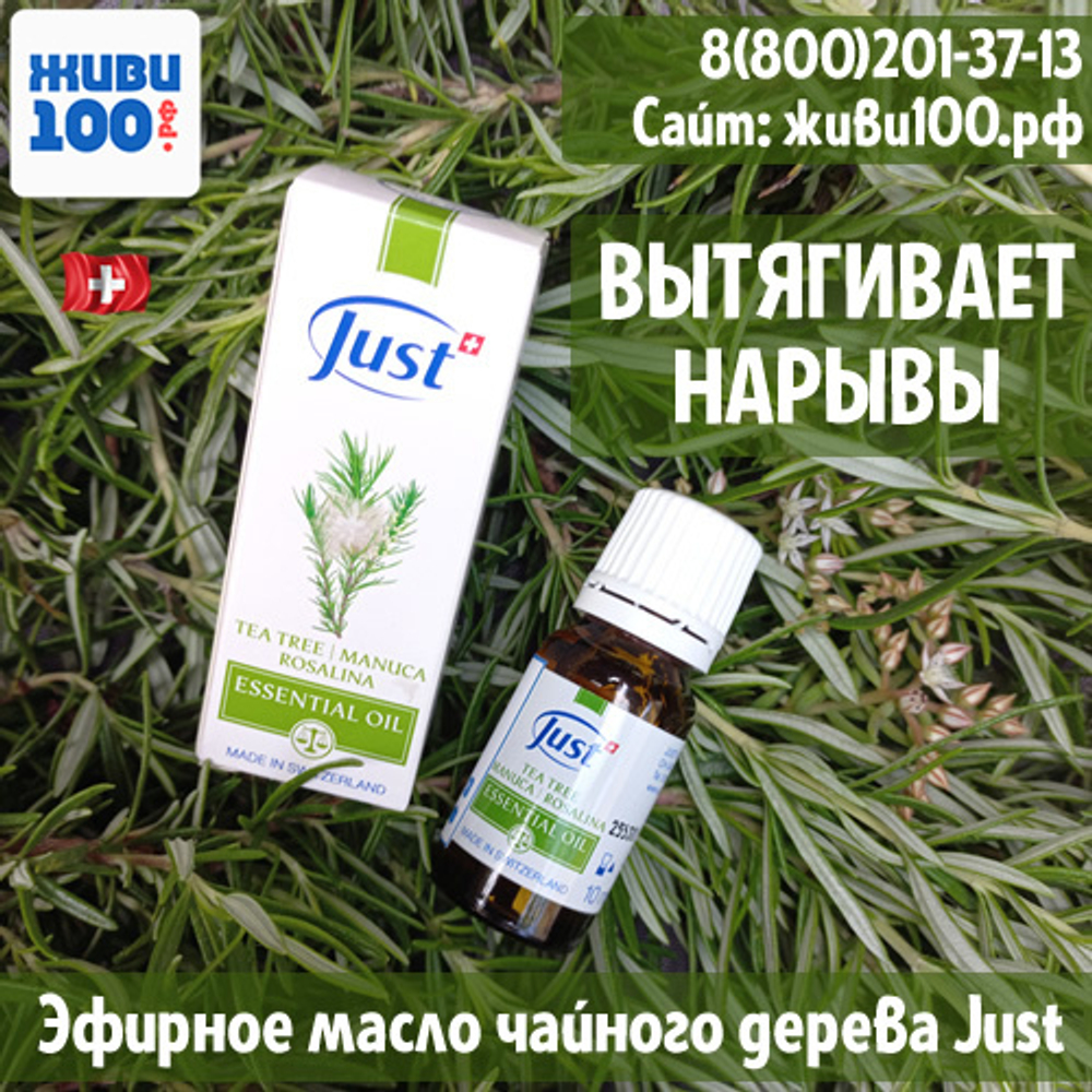 Эфирное масло Tea tree Just Чайное дерево Юст вытягивает нарывы