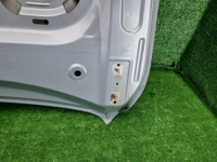 Капот Geely Tugella (2019-2024)