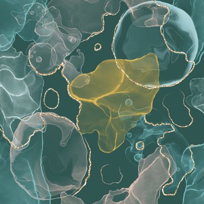 Малахитовая шкатулка2 абстракция