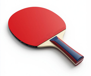 Ракетки для настольного тенниса