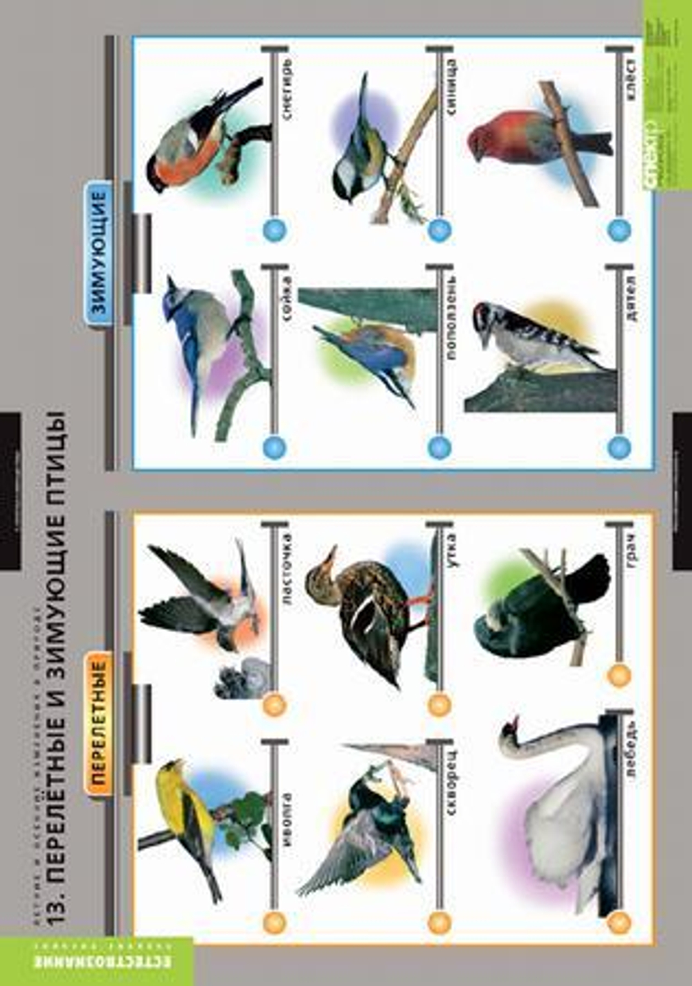 Комплект таблиц "Окружающий мир. Летние и осенние изменения в природе"; 13 таблиц + 32 карт.