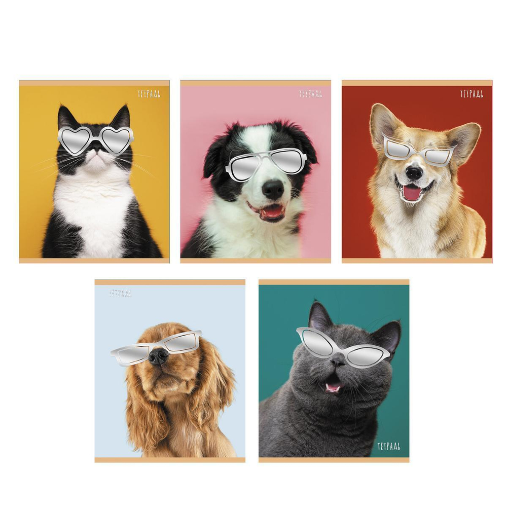 Тетрадь А5 48л. клетка "Стиляги" в ассорт. (Эксмо)